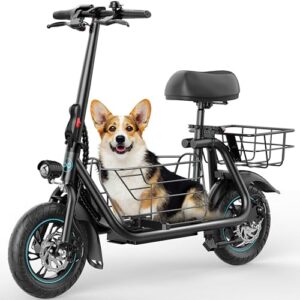 2021 Best E Scooter