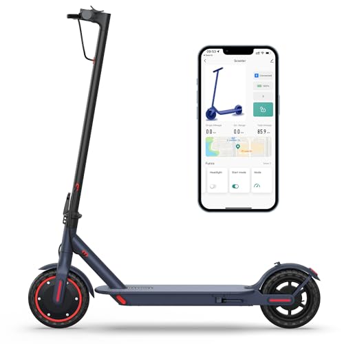 E Scooter Beste
