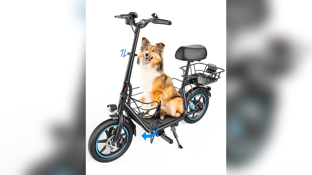 Best Electric Bikes And Scooters