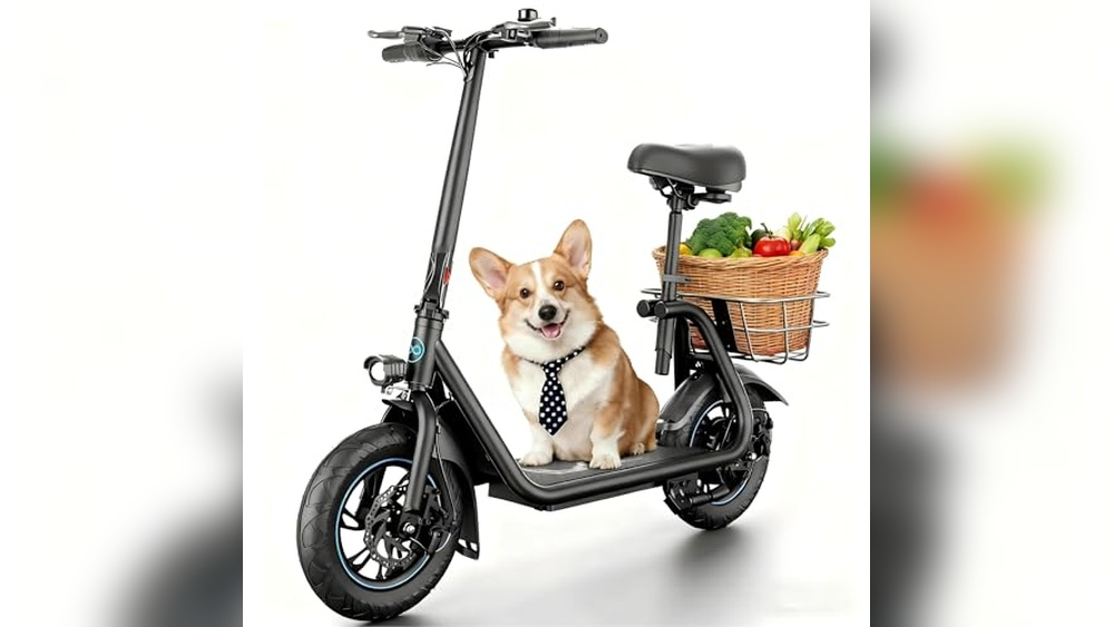 Best Electric Scooters With Seats