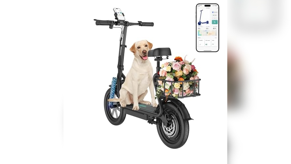Best Custom Electric Kick Scooters Video